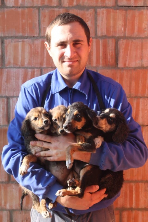 კოკერსპანელის მეტისი უსახელო