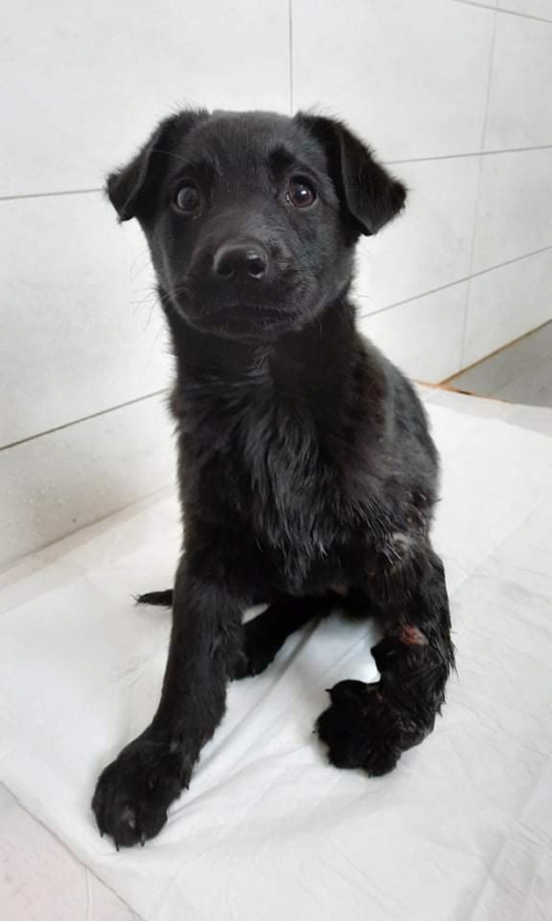 მეტისი გლდანის ავტოსახელოსნო