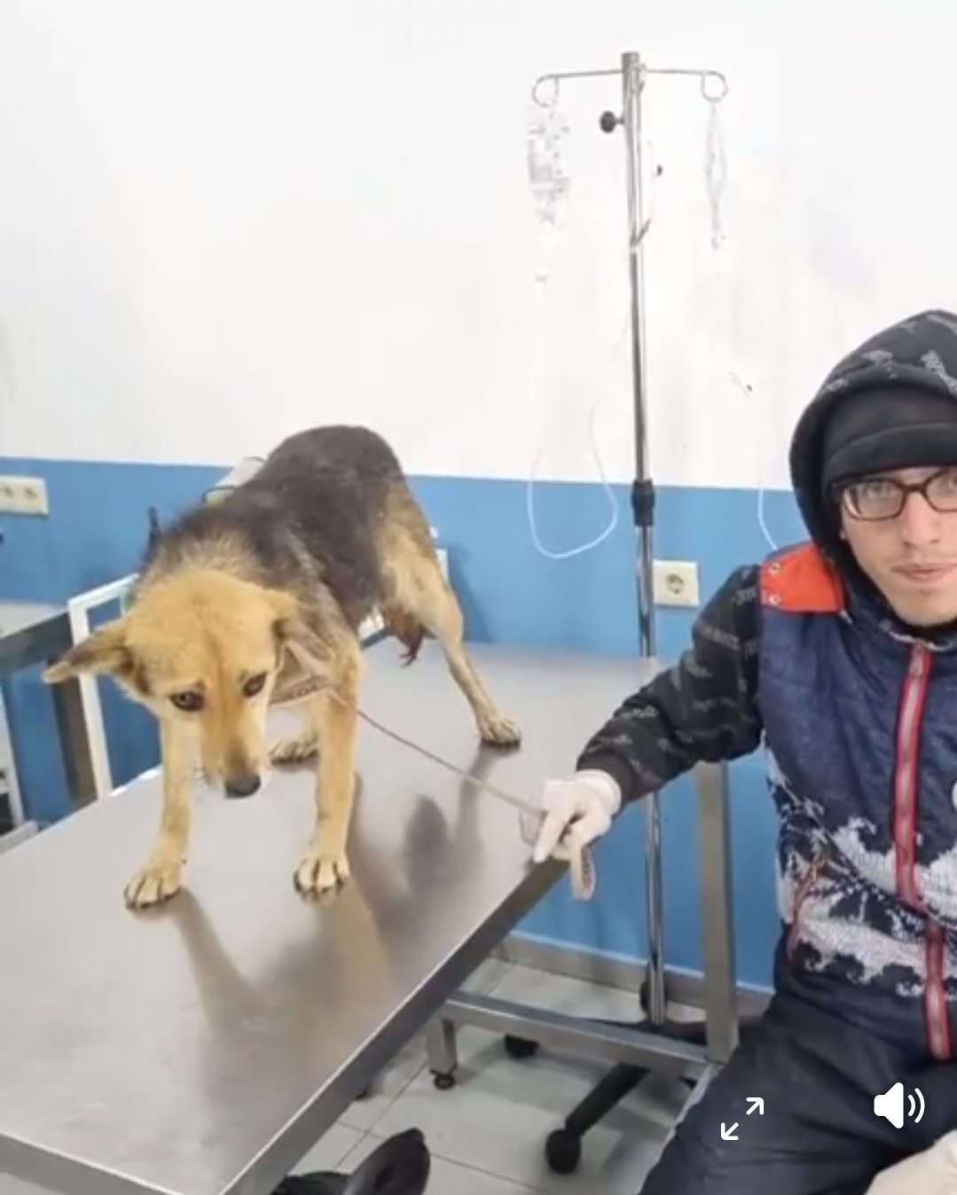 რუსთავი. გომელაურის ქ.N12