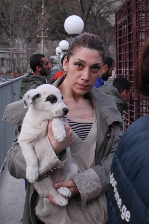 მეტისი უსახელო