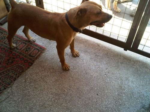 * გარდაცვლილები რიცა