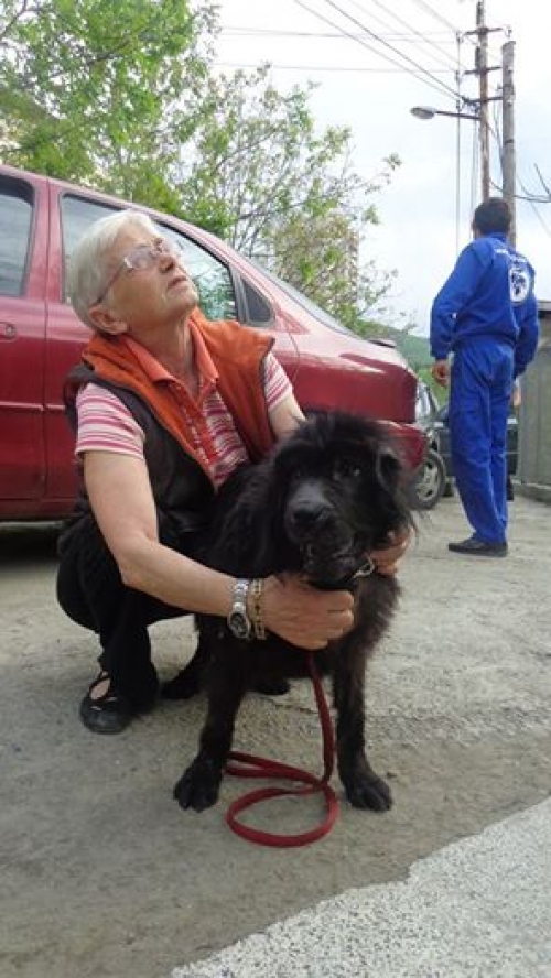 შარპეი მაო