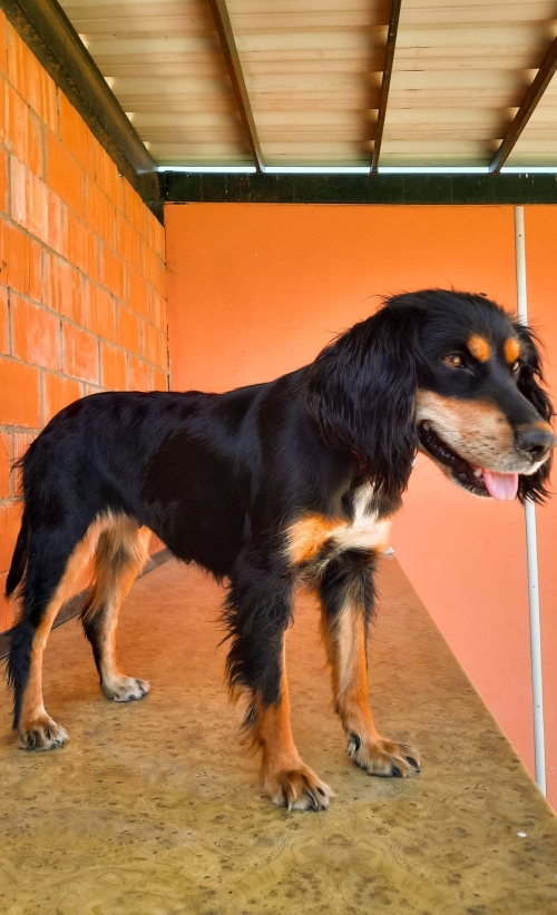 მეტისი მოსკოვის გამზირზე ნაპოვნია