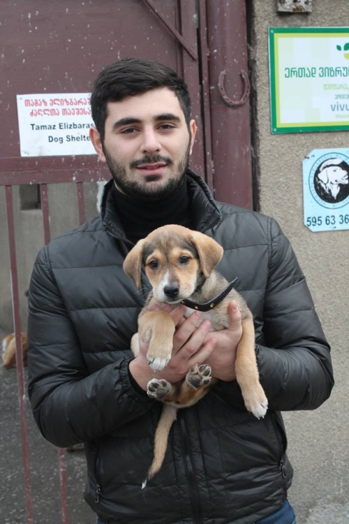 მეტისი ლუსი