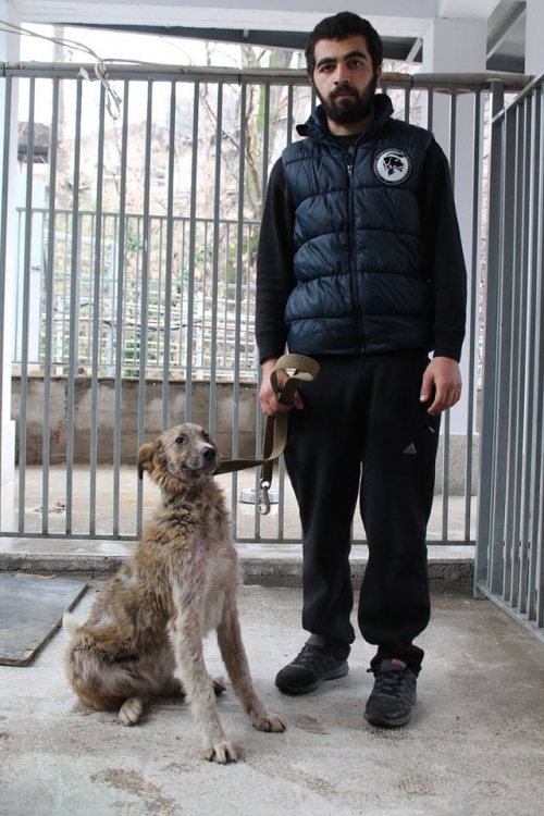 მეტისი უსახელო