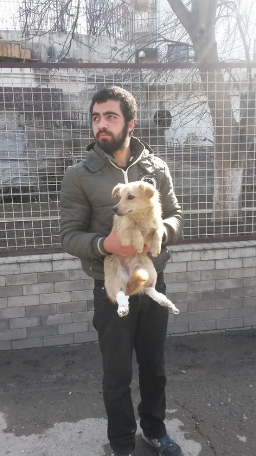 მეტისი უსახელო