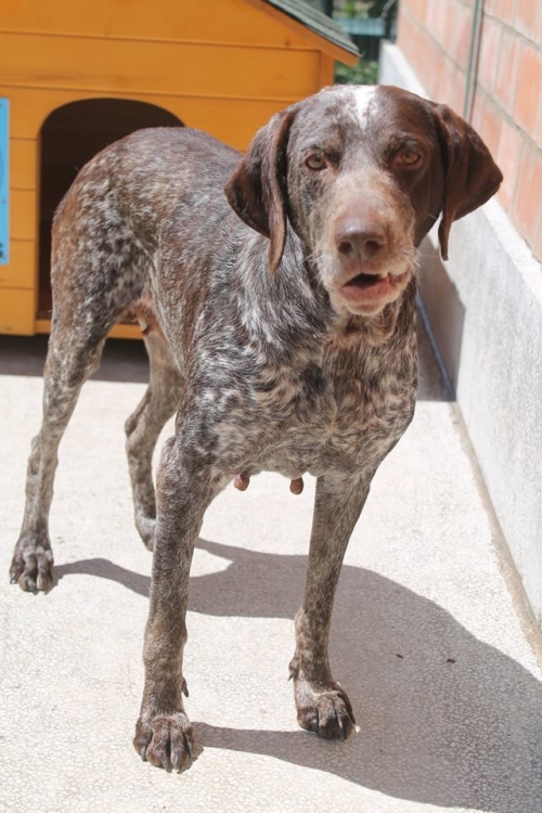 კურცხაარი უსახელო