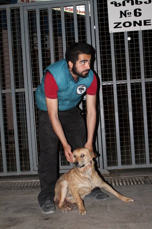 მეტისი უსახელო