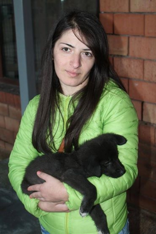 მეტისი უსახელო