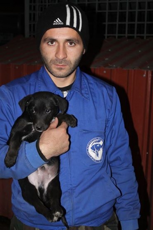 მეტისი უსახელო