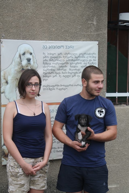 მეტისი უსახელო