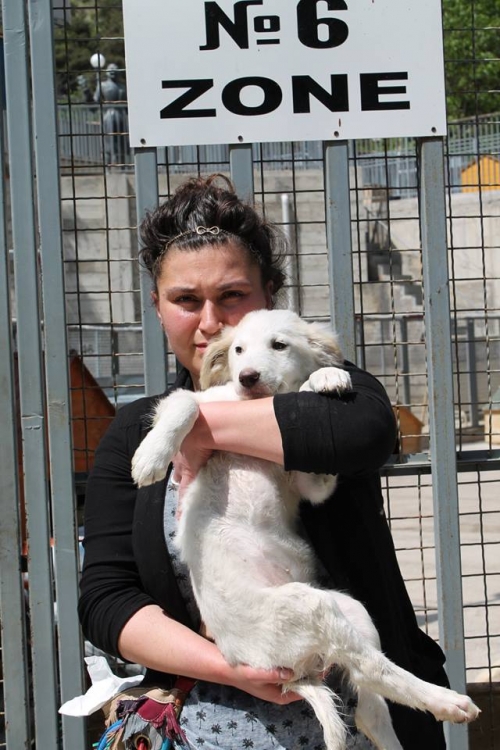 მეტისი უსახელო