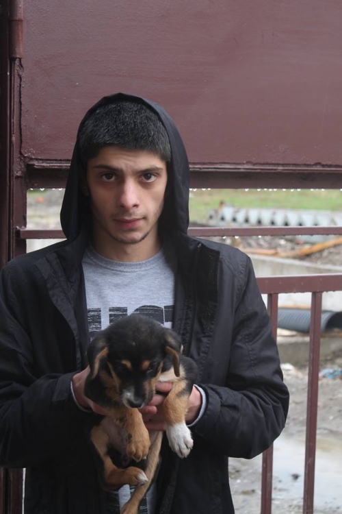 მეტისი უსახელო