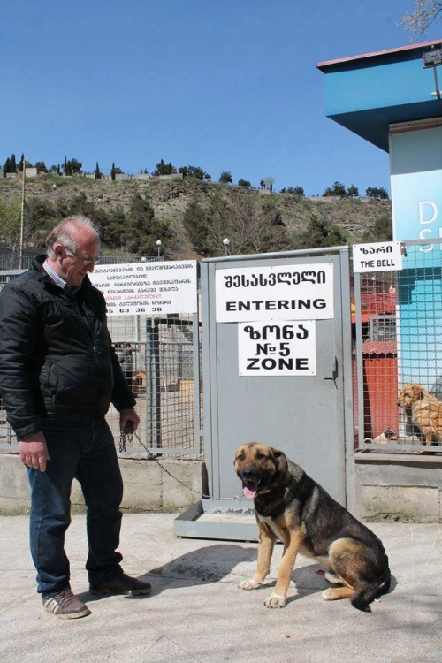 მეტისი უსახელო