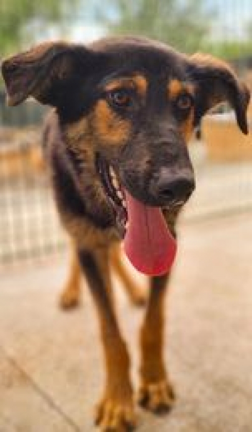 მეტისი ვარკეთილის მეტრო