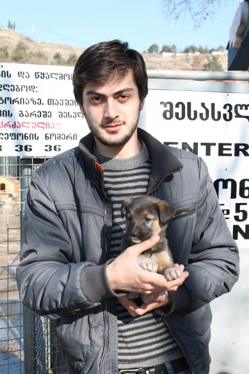 მეტისი უსახელო