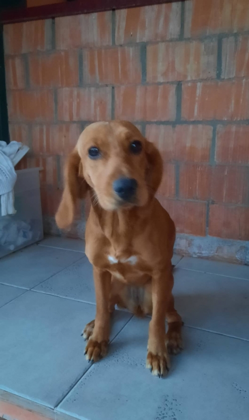 მეტისი კაიროს 3 ქუჩა