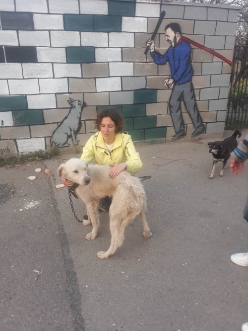 მეტისი თბილისი მოლი