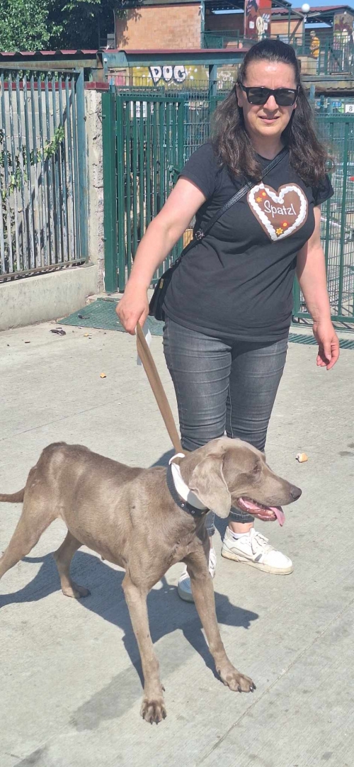 ვეიმარანერი იპოვა კაპანაძე ირინა