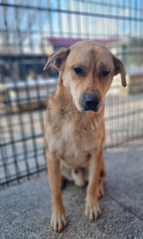 მეტისი გლდანი მე 3 მიკრორაიონი