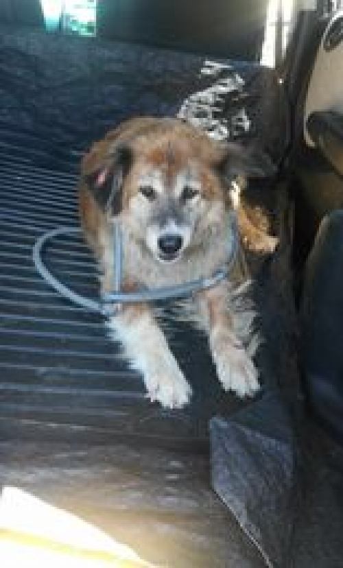 მეტისი დიღმის მასივი ლუბლიანას 4 ნომერი