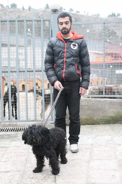 ბალონკა უსახელო