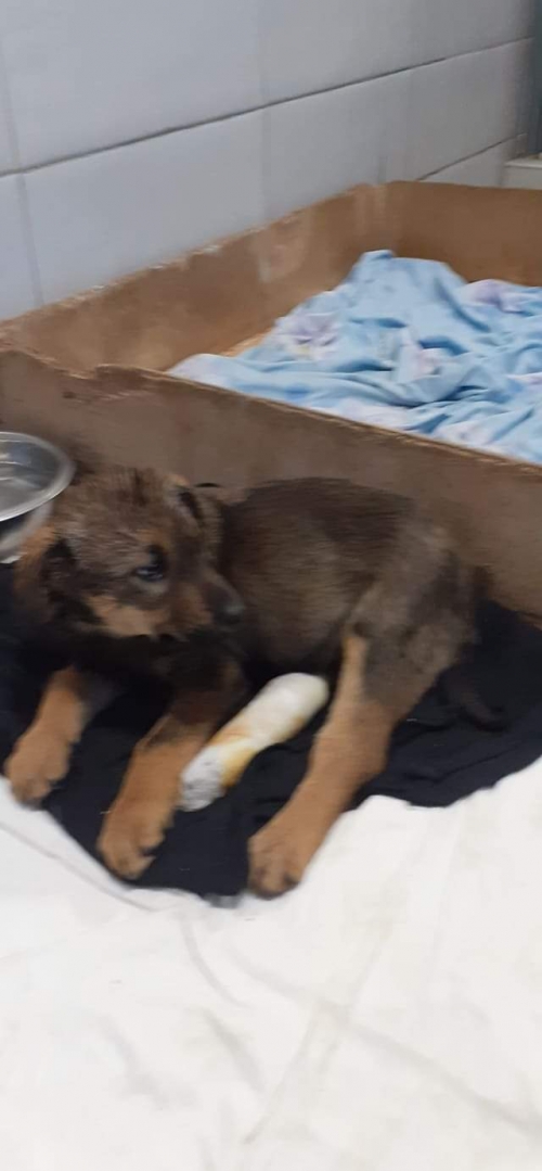 მეტისი უსახელო