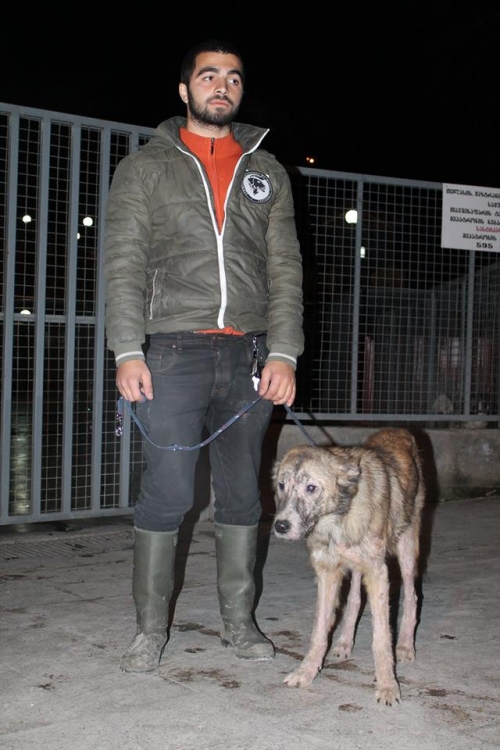 მეტისი უსახელო