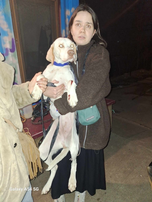 სეტერი ლაიმა უზნაძეს ქუჩა