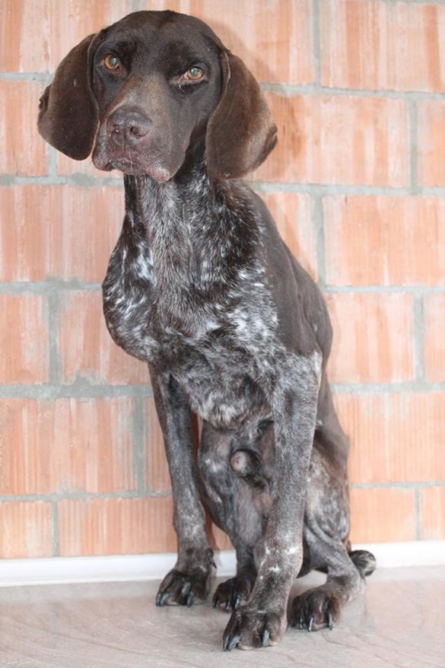 კურცხაარი უსახელო