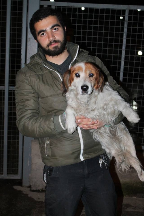 მეტისი უსახელო