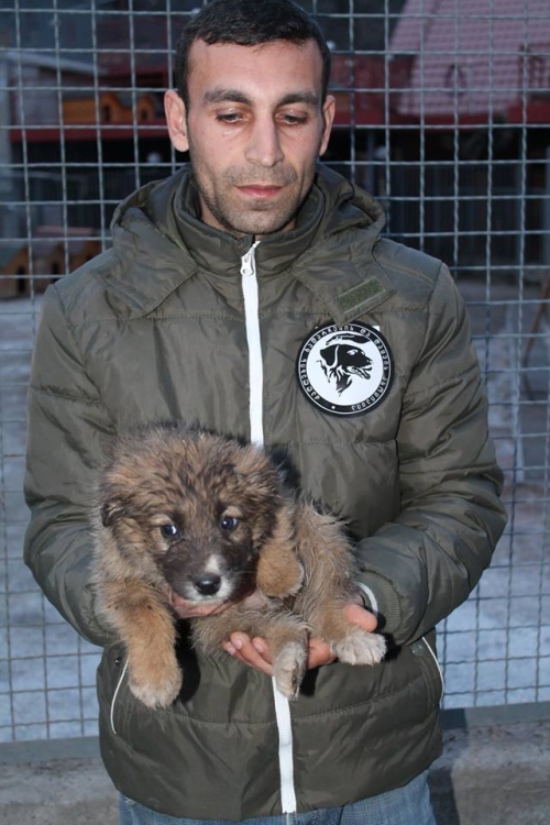 მეტისი უსახელო