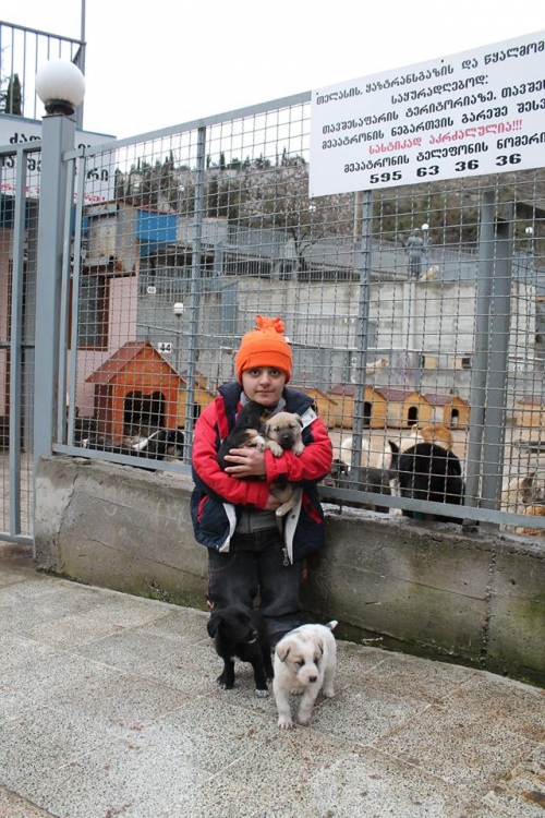 მეტისი უსახელო