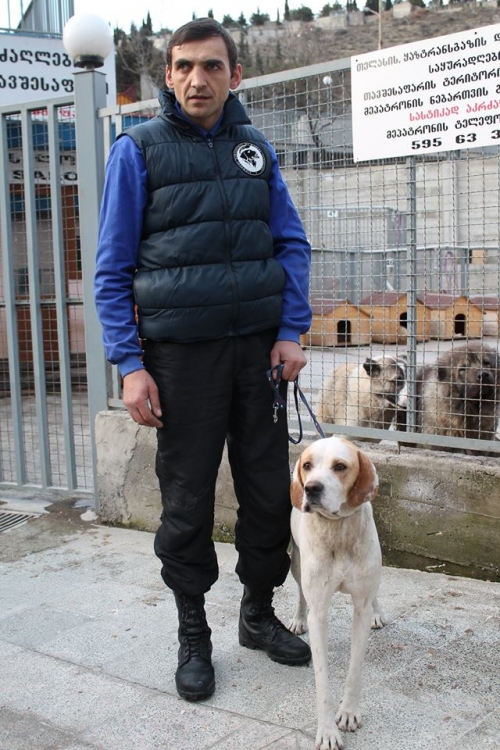 პოინტერი უსახელო