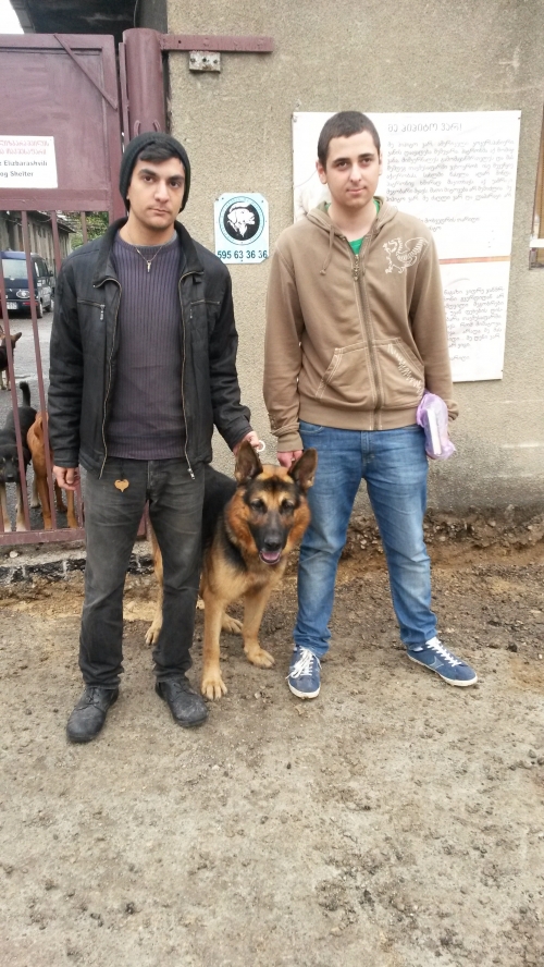 გერმანული ნაგაზი უსახელო