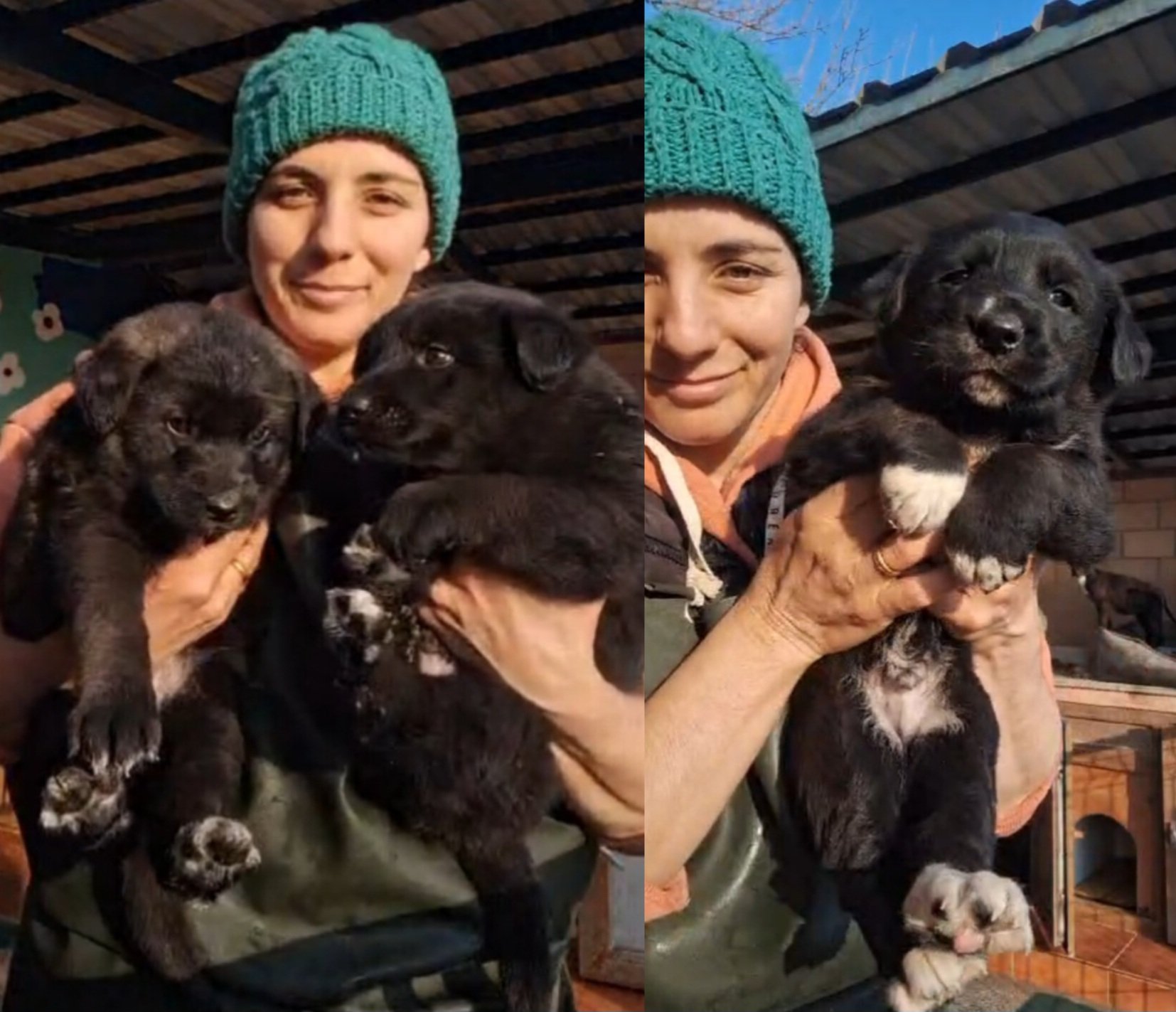 გრ. ლორთქიფანიძის ქ. სტადიონი