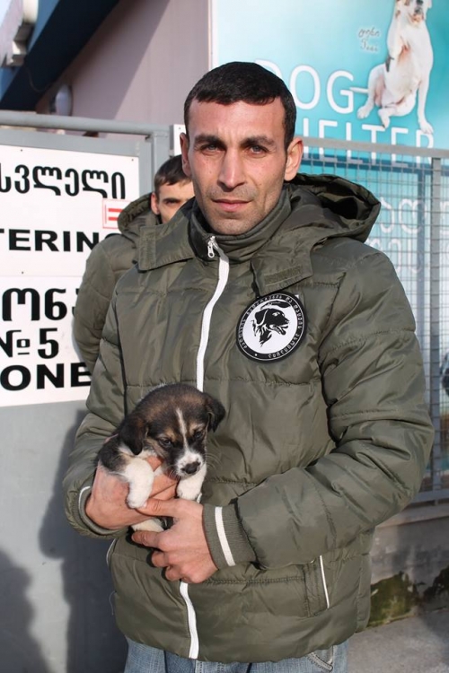 მეტისი უსახელო