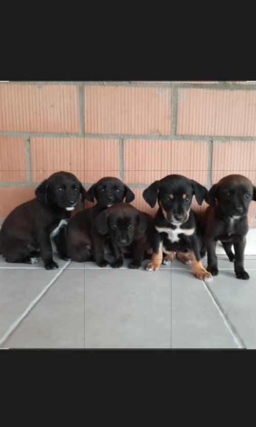 მეტისი ნაპოვნია თემქა მუხიანის გზაზე