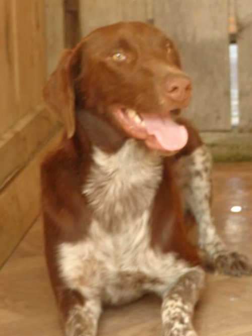 კურცხაარი უსახელო