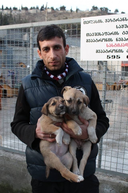 მეტისი უსახელო