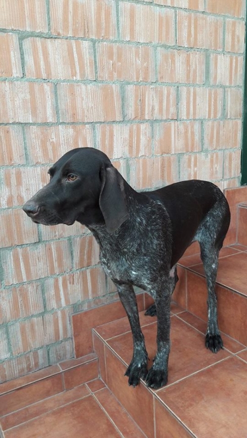 კურცხაარი უსახელო