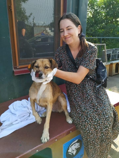 მეტისი იოსელიანის ქუჩა 105 ნომერი