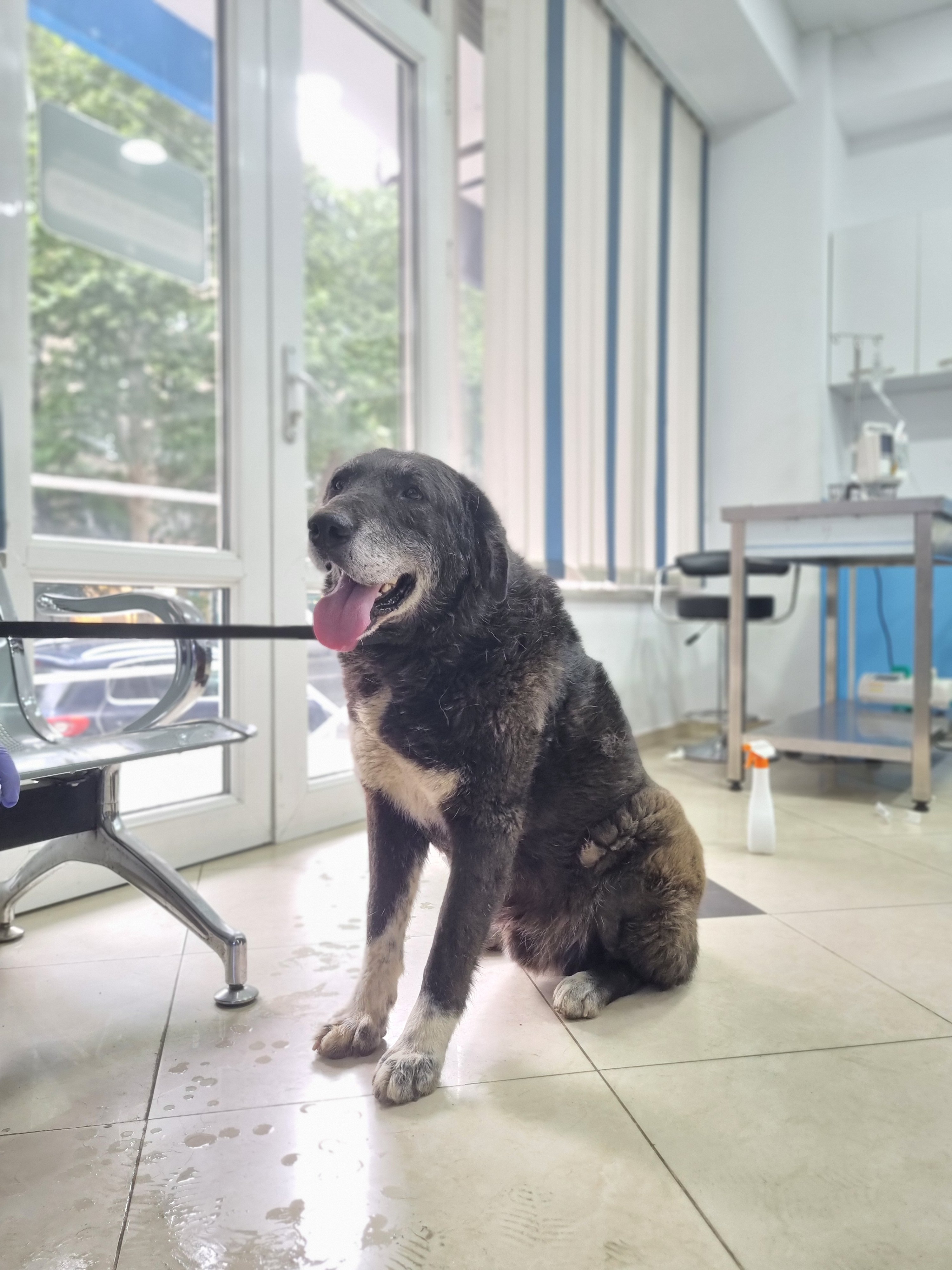 მეტისი. ფეიქრები. ბოლცმანა