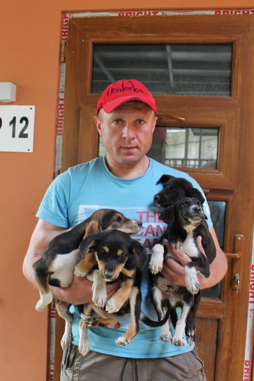 მეტისის ლეკვები უსახელო