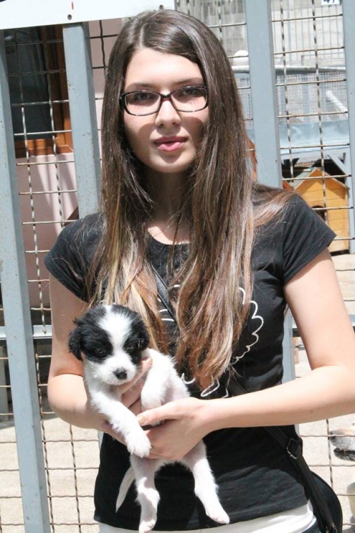 მეტისი ბობო