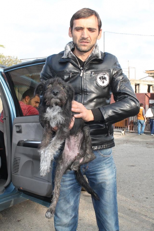 ბალონკის მეტისი უსახელო