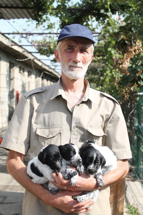 კურცხაალის მეტისი უსახელო