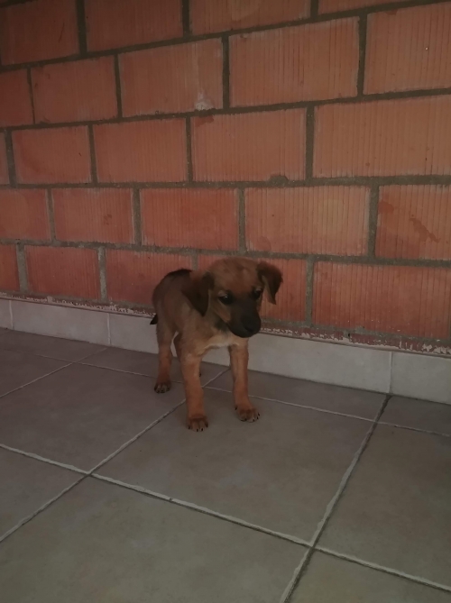 მეტისი უსახელო