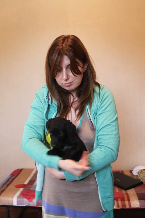 მეტისი უსახელო