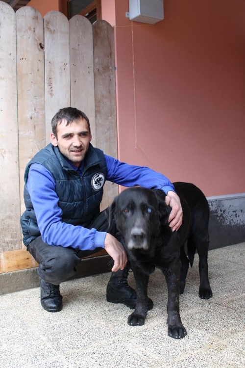 ლაბრადორი უსახელო